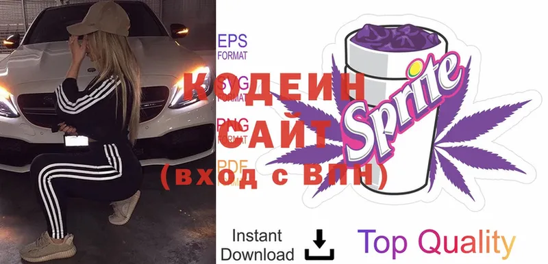 Кодеиновый сироп Lean Purple Drank  закладки  Димитровград 