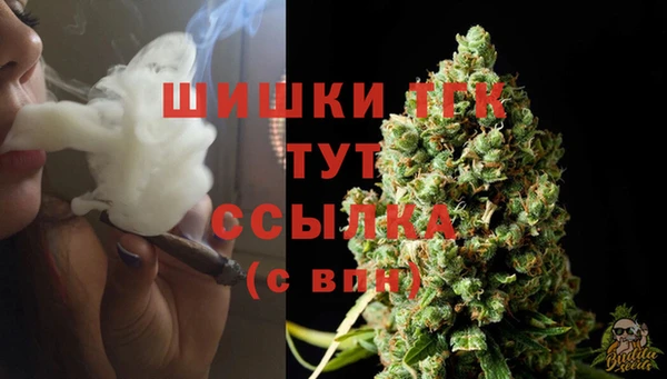 ГАЛЛЮЦИНОГЕННЫЕ ГРИБЫ Верхнеуральск